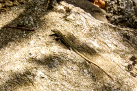Gorges d´Heric region_(c)_Nadja Meister_IMG_0718