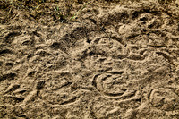 Oberweiden Sandberge_(c)_Nadja Meister_IMG_3293