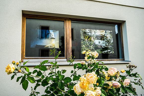 V4F 2022_FensterGALERIE Wagram_(c)_Nadja Meister_DSC02136