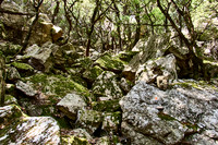 Gorges d´Heric region_(c)_Nadja Meister_IMG_0725