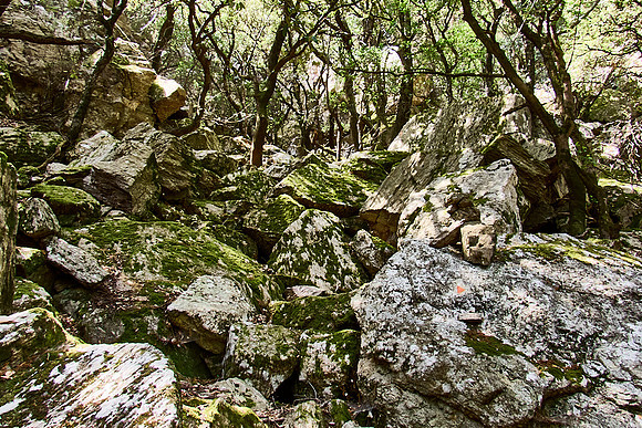Gorges d´Heric region_(c)_Nadja Meister_IMG_0725