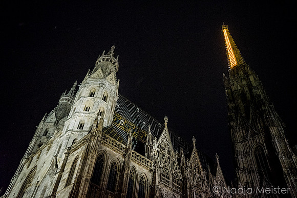 Billi Thanner_Himmelsleiter_Stephansdom_(c)_Nadja Meister_DSC02046