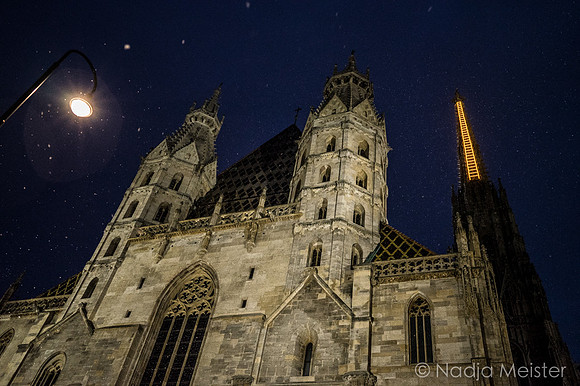 Billi Thanner_Himmelsleiter_Stephansdom_(c)_Nadja Meister_DSC02041