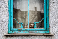 abandon_Atelier_(c)_Nadja Meister_IMG_2320
