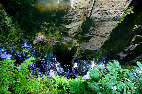 Sächsische Schweiz_by_Nadja Meister_IMG_7659