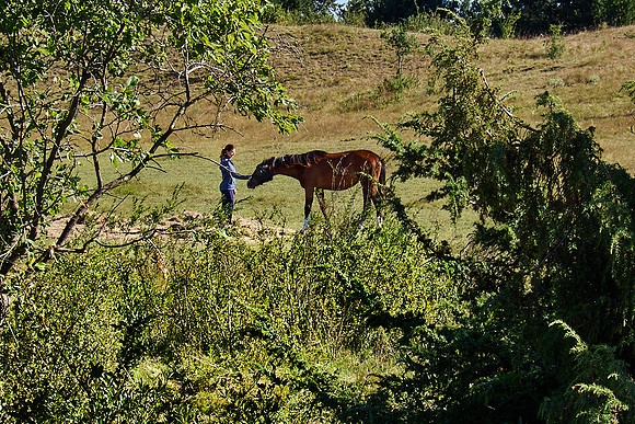 Oberweiden Sandberge_(c)_Nadja Meister_IMG_0289