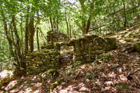 old homes in chesnut trees_(c)_Nadja Meister_IMG_0794