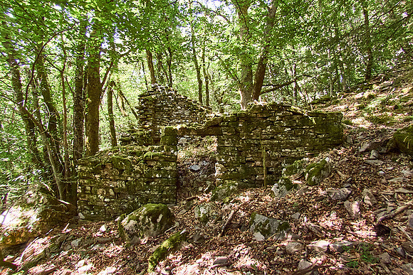 old homes in chesnut trees_(c)_Nadja Meister_IMG_0794