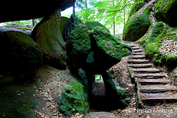 Sächsische Schweiz_by_Nadja Meister_IMG_7631