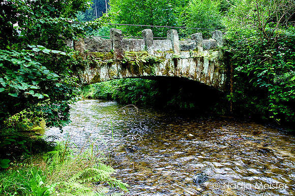 Sächsische Schweiz_by_Nadja Meister_IMG_7383