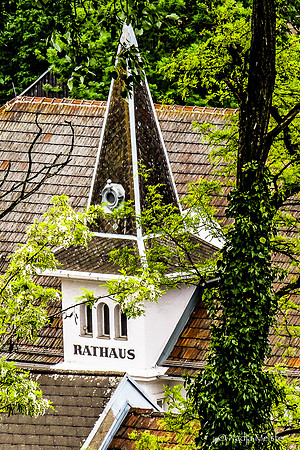 V4F 2022_FensterGALERIE Wagram_(c)_Nadja Meister_IMG_9970