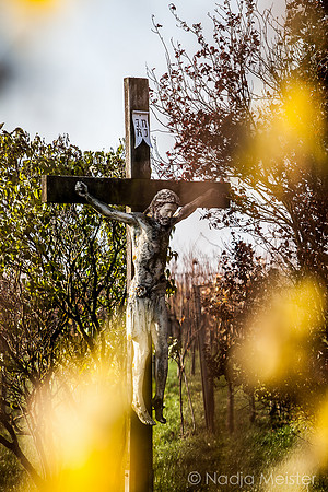 Landpartie WAGRAM & Wegmarken_(c)_Nadja Meister_IMG_7070-2