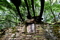 old homes in chesnut trees_(c)_Nadja Meister_IMG_0780