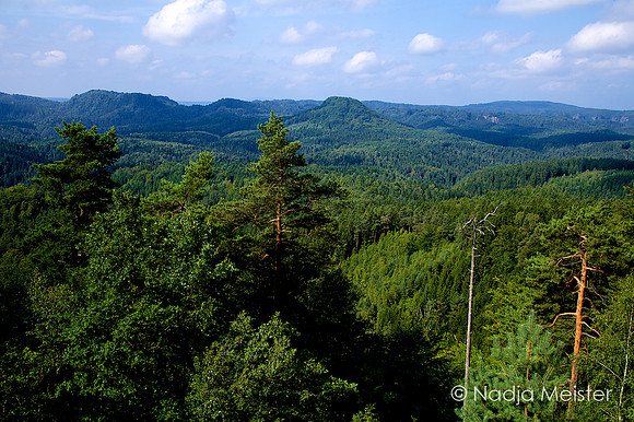 Sächsische Schweiz_by_Nadja Meister_IMG_7622