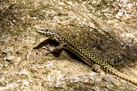 Gorges d´Heric region_(c)_Nadja Meister_IMG_0719