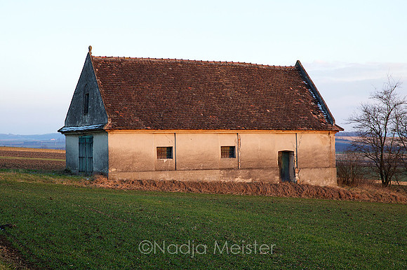 Wullersdorf_by_Nadja Meister_IMG_9840