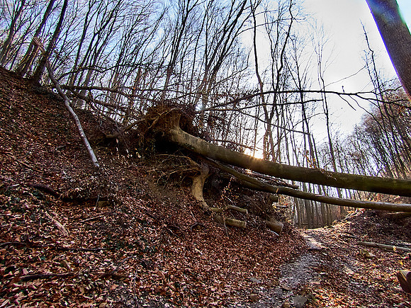 Hagenbachklamm_(c)_Nadja Meister_IMG_1767