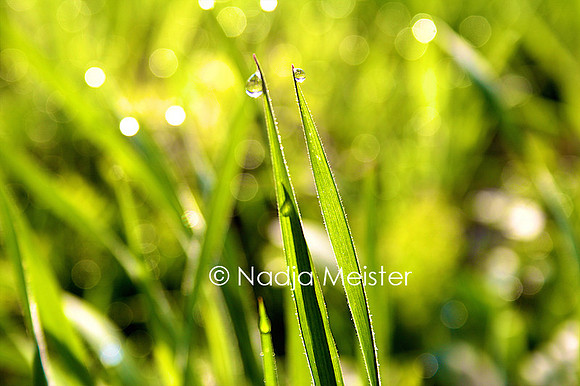 Archiv_by_Nadja Meister_IMG_1137