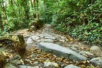 La Passerelle de Mazamet & Hautpoul_c)_Nadja Meister_ IMG_2197