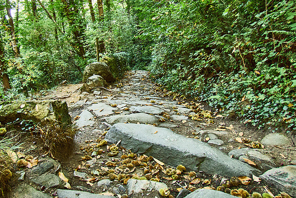 La Passerelle de Mazamet & Hautpoul_c)_Nadja Meister_ IMG_2197
