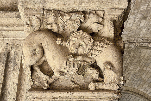 Arles_(c)_Nadja Meister_ IMG_2914