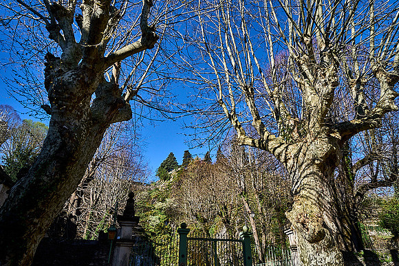 Saint-Pons-de-Thomieres_(c)_Nadja Meister_DSC04660