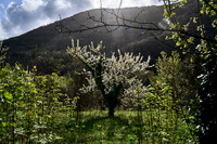 Le Frejo_(c)_Nadja Meister_ DSC04534
