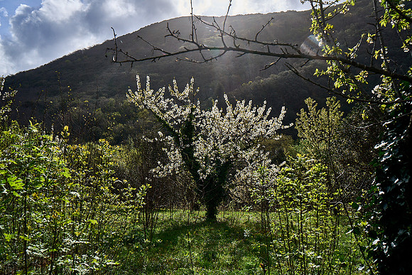Le Frejo_(c)_Nadja Meister_ DSC04534