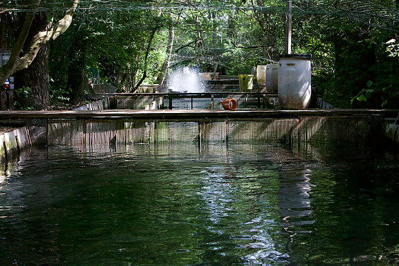 Fischzucht Haimel_by_Nadja Meister_IMG_1307