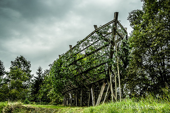 Österreichischer Skulpturenpark_(c)_Nadja Meister_DSC02661