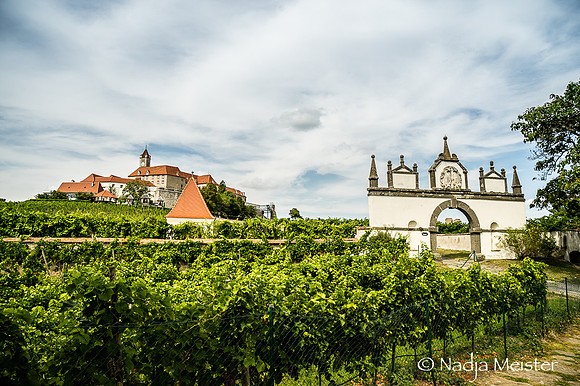 Riegersburg_(c)_Nadja Meister_DSC02226