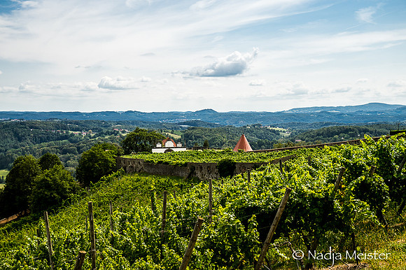 Riegersburg_(c)_Nadja Meister_DSC02229