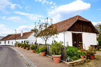 Haugsdorf_(c)_Nadja Meister_IMG_8191