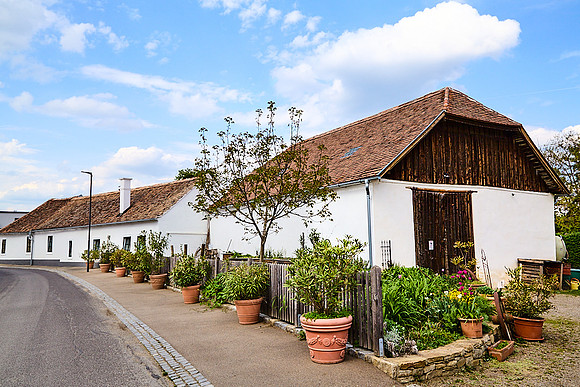 Haugsdorf_(c)_Nadja Meister_IMG_8191