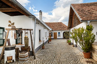 Haugsdorf_(c)_Nadja Meister_IMG_8200