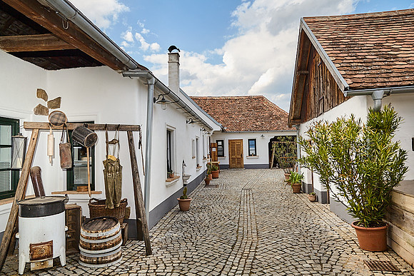 Haugsdorf_(c)_Nadja Meister_IMG_8200