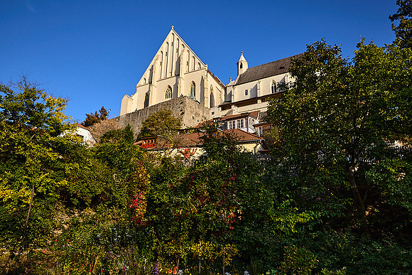 Znojmo_(c)_Nadja Meister_IMG_2865