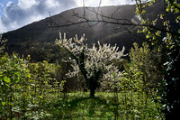Frejo_(c)_Nadja Meister_DSC04534