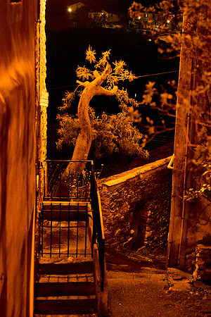 Olargues_(c)_Nadja Meister_DSC04749