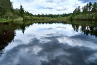 Foret Domaniale du Somail_Lake of Bourdelet_(c)_Nadja Meister_DSC04698