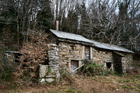 Foret Domaniale du Somail_(c)_Nadja Meister_DSC04699
