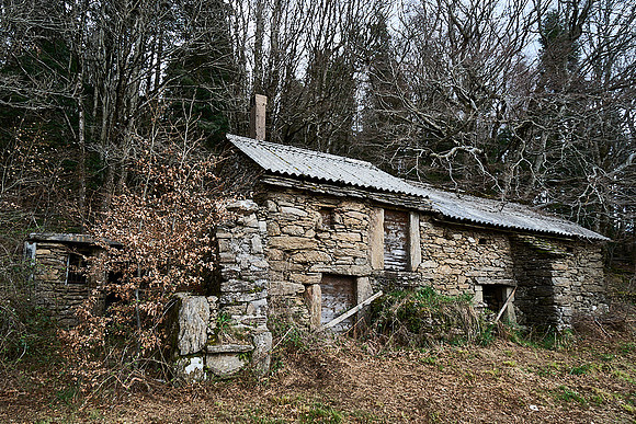 Foret Domaniale du Somail_(c)_Nadja Meister_DSC04699