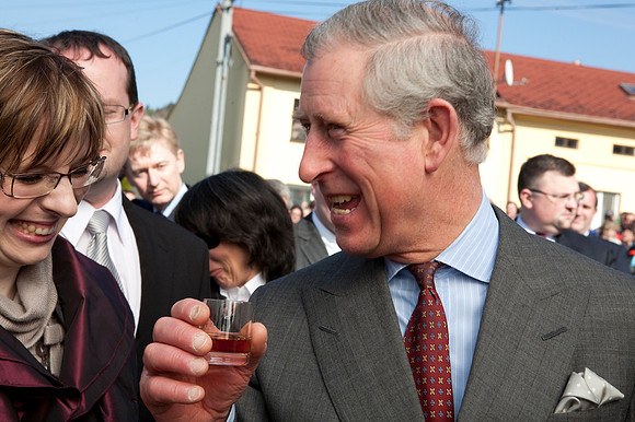 Prince Charles Hostetin_by_Nadja Meister 13