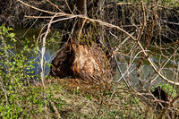 NPP Soutok_(c)_Nadja Meister_IMG_2406