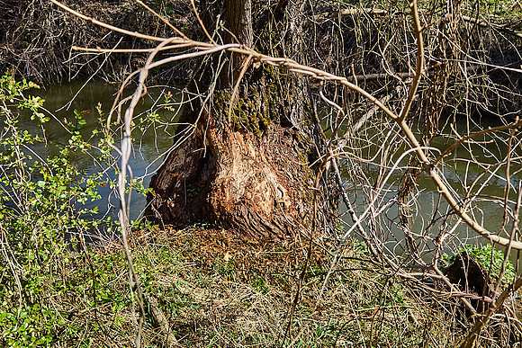NPP Soutok_(c)_Nadja Meister_IMG_2406