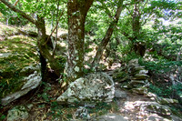 1000 Marches Trek_(c)_Nadja Meister_IMG_0434