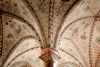roskilde dome