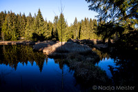Pohori na Sumave_by_Nadja Meister_IMG_8481