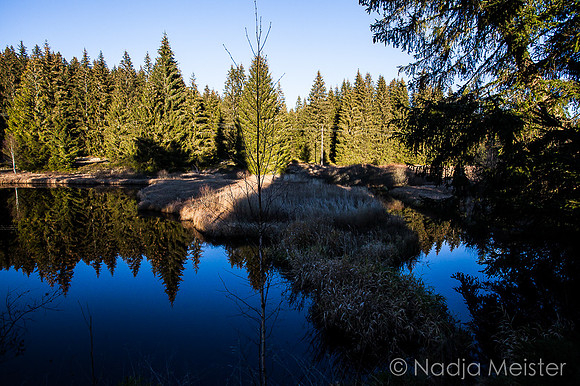 Pohori na Sumave_by_Nadja Meister_IMG_8481