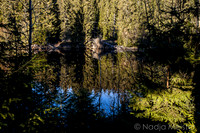 Pohori na Sumave_by_Nadja Meister_IMG_8478